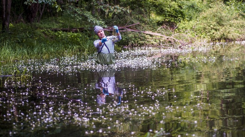 david_sicientist in pond.jpgsicientist in pond.jpg